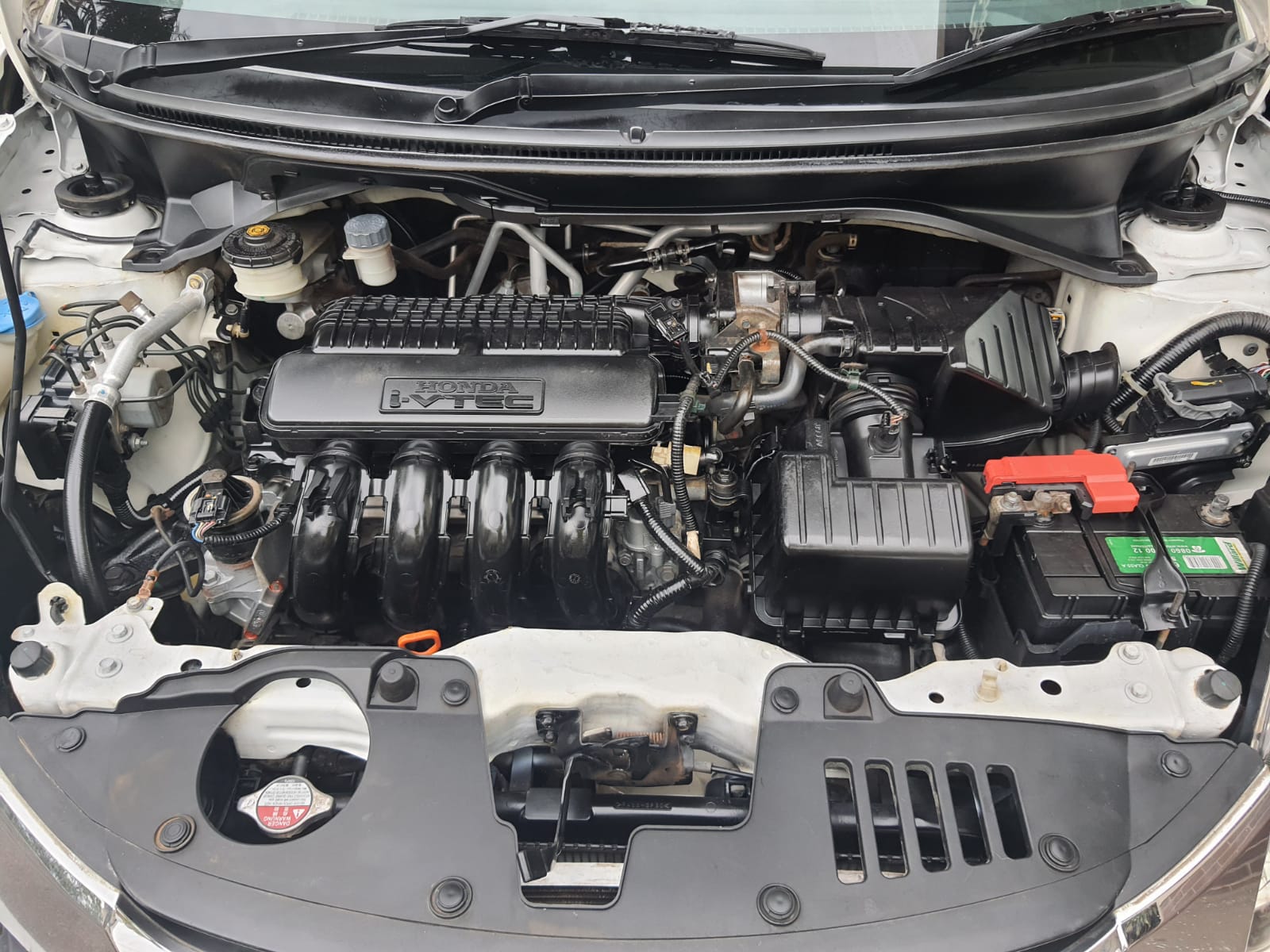 WhatsApp Image 2022-01-31 at 8.41.50 PM (1)