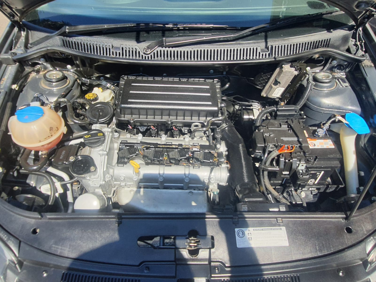 WhatsApp Image 2022-01-31 at 8.41.52 PM